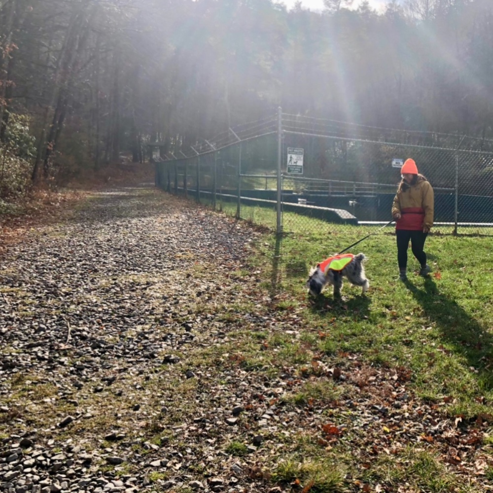 Meet your Posher, Tina